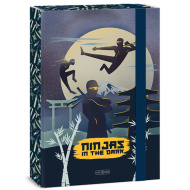 Ars Una Ninjas in the dark gumijasta mapa A/4