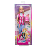 Barbie: Malibu jahaška lutka - Mattel