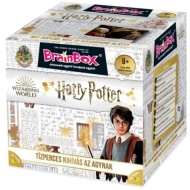 BrainBox - Harry Potter družabna igra