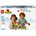 LEGO® DUPLO®: Skrb za živali na kmetiji (10416)