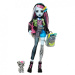 Monster High lutka - Strašno nova Frankie Stein - Mattel